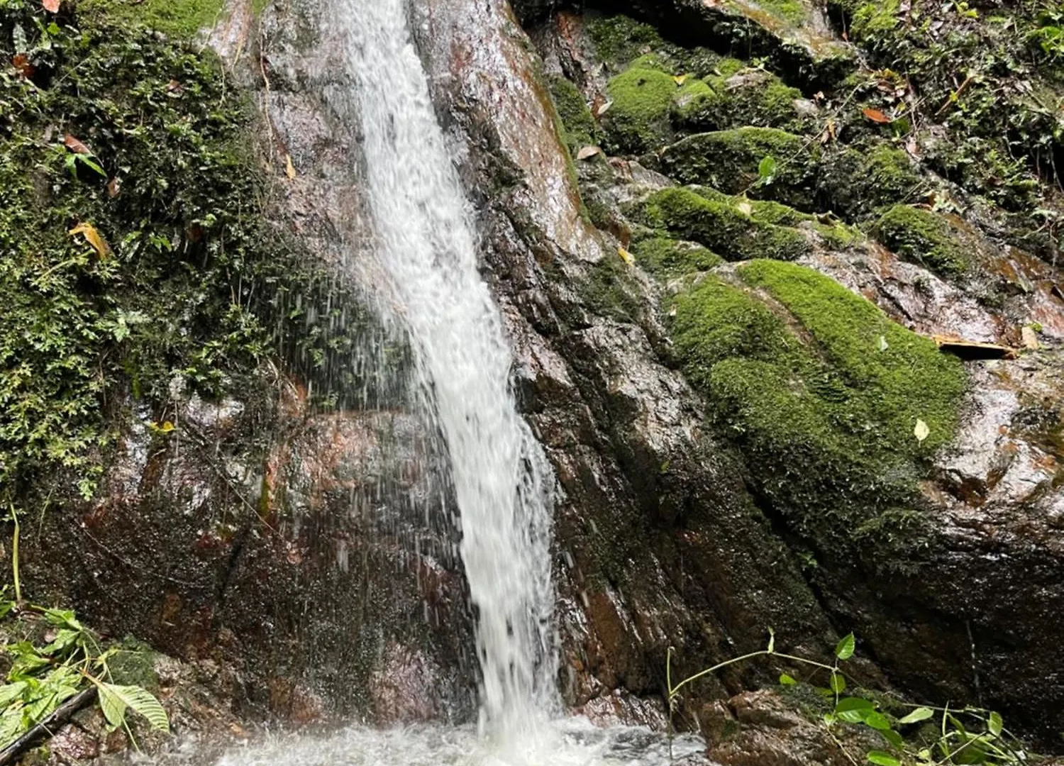 Ecolodge Maruamake 圣玛尔塔 哥伦比亚